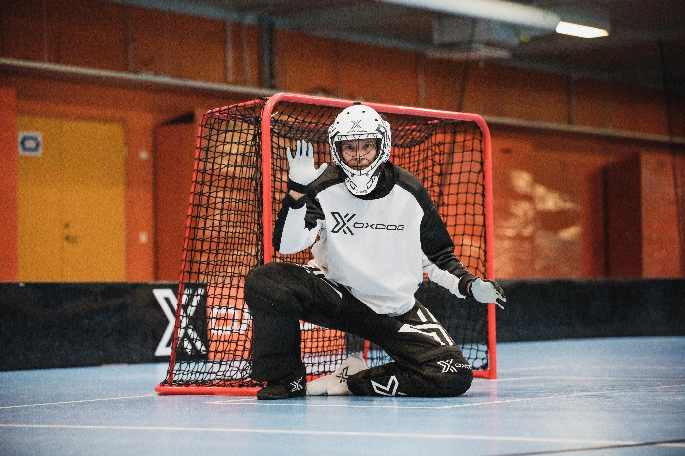 Image 65. 扑救中的VH站姿（The VH stance in saves）